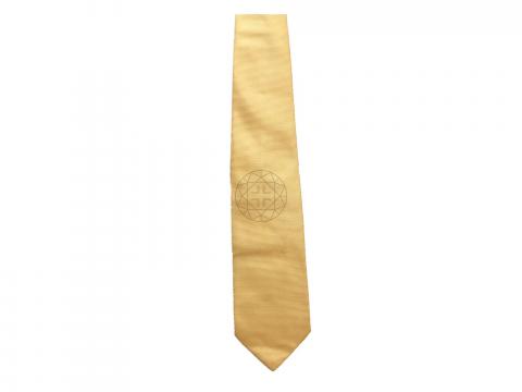 gold burberry tie